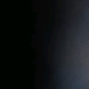 Meet your Posher, Logan